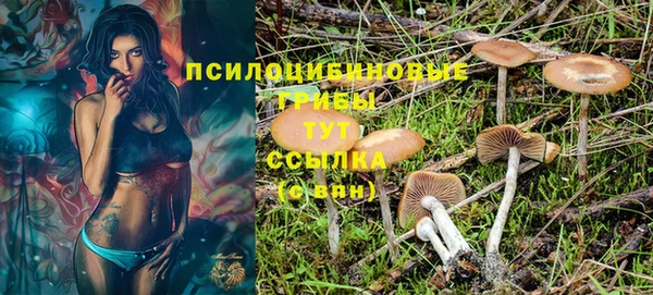 твердый Абаза