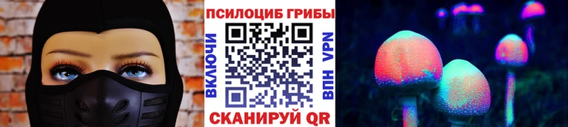 Псилоцибиновые грибы Psilocybe  цена   Хабаровск 