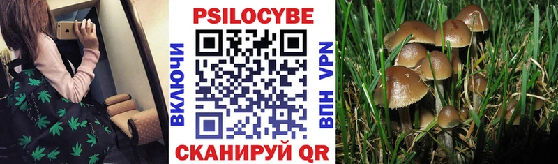 Галлюциногенные грибы ЛСД Хабаровск
